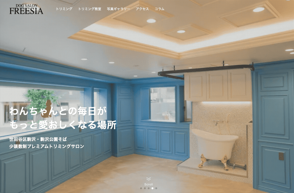 DOG SALON FREESIA
自社経営サロン東京都世田谷区